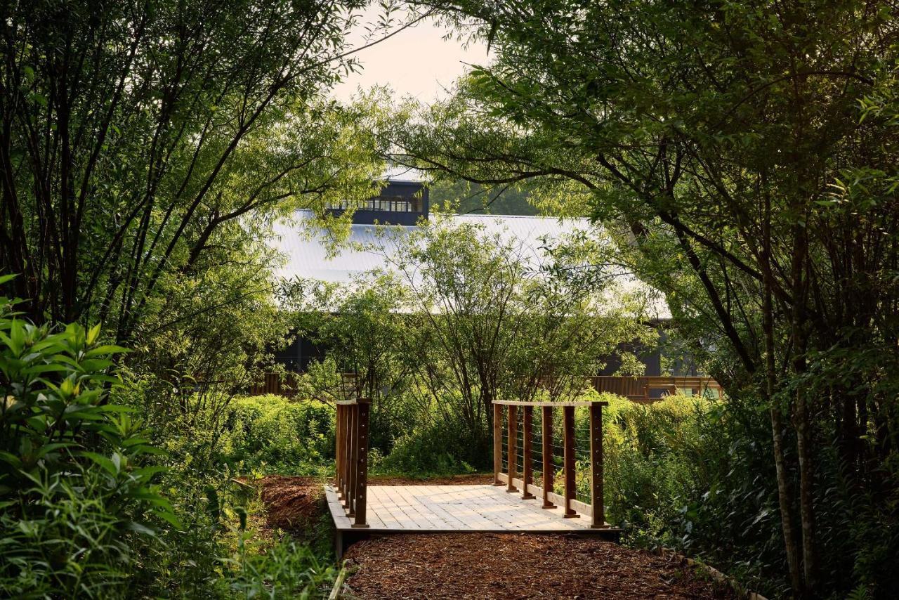 Callicoon Center Callicoon Hills מראה חיצוני תמונה