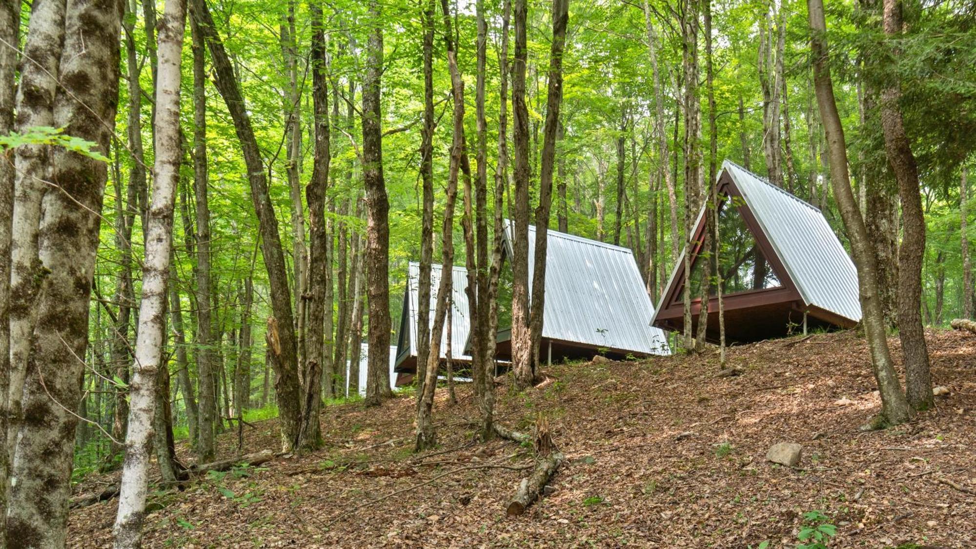 Callicoon Center Callicoon Hills מראה חיצוני תמונה